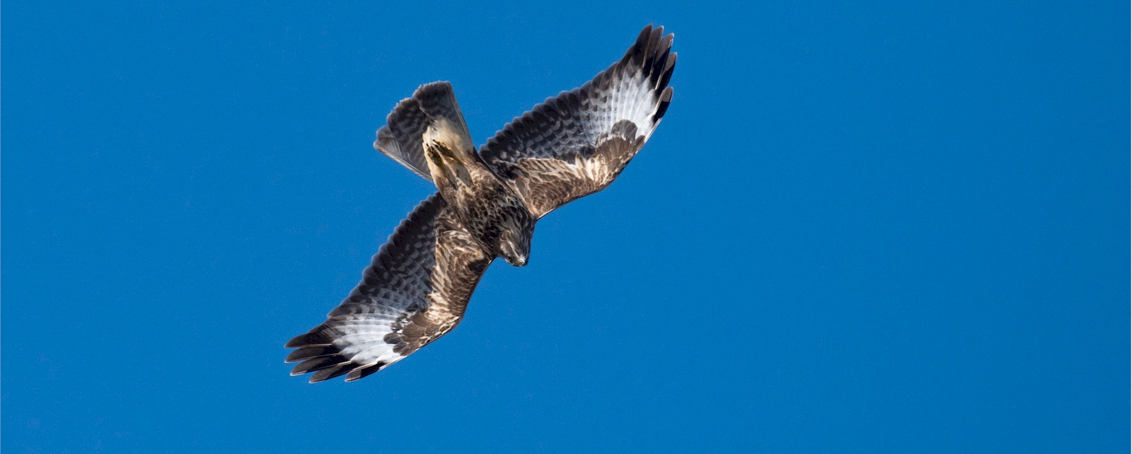 02 Percorso Desteglio - San Bernardo - Costa dei Campi