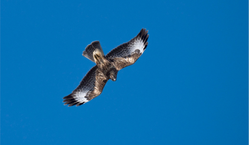 02 Percorso Desteglio - San Bernardo - Costa dei Campi