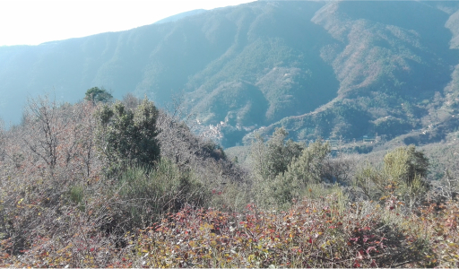 04 Percorso Ceriana – Cima Furchè – Rifugio della Valle del Lago